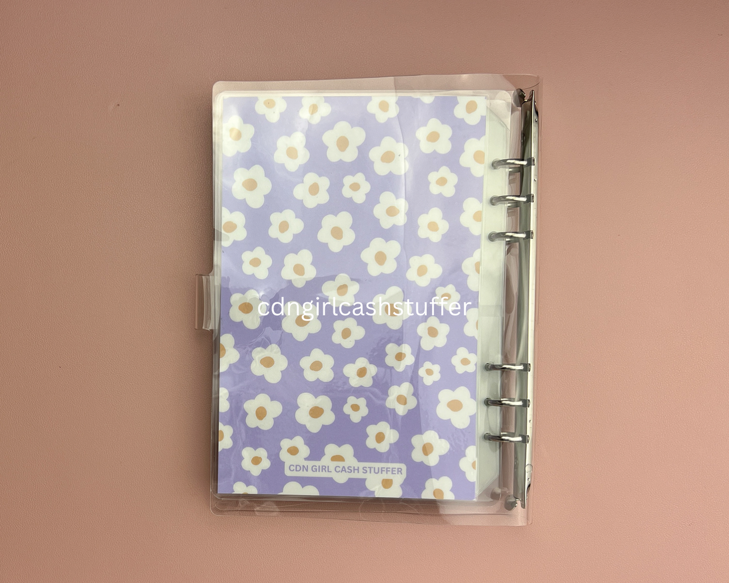 Daisy 1K Savings Challenge