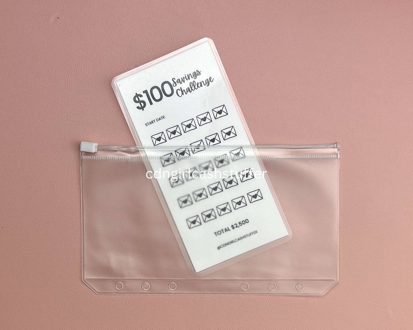 $100 Savings Challenge Tracker