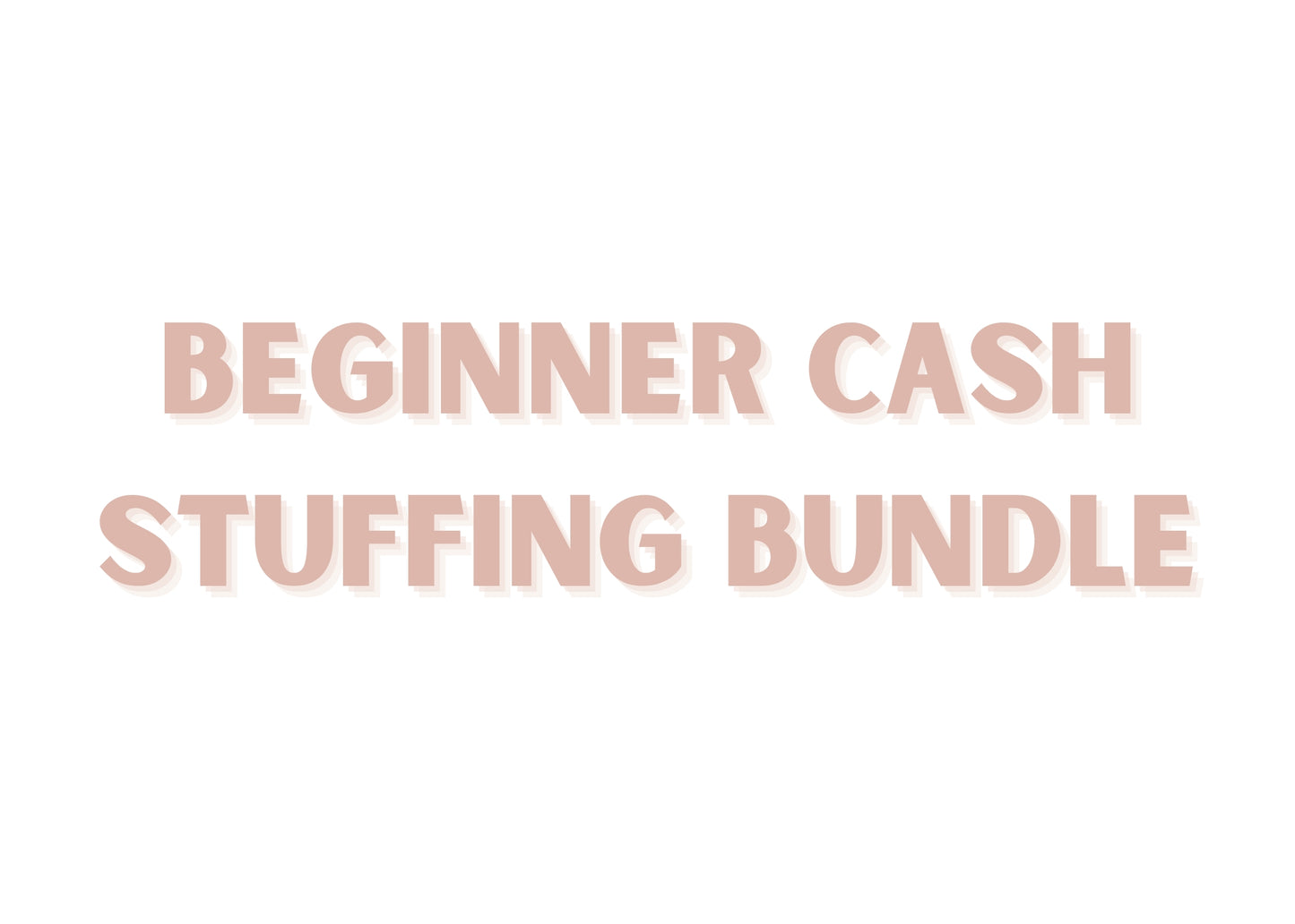 Beginner Cash Stuffing Bundle