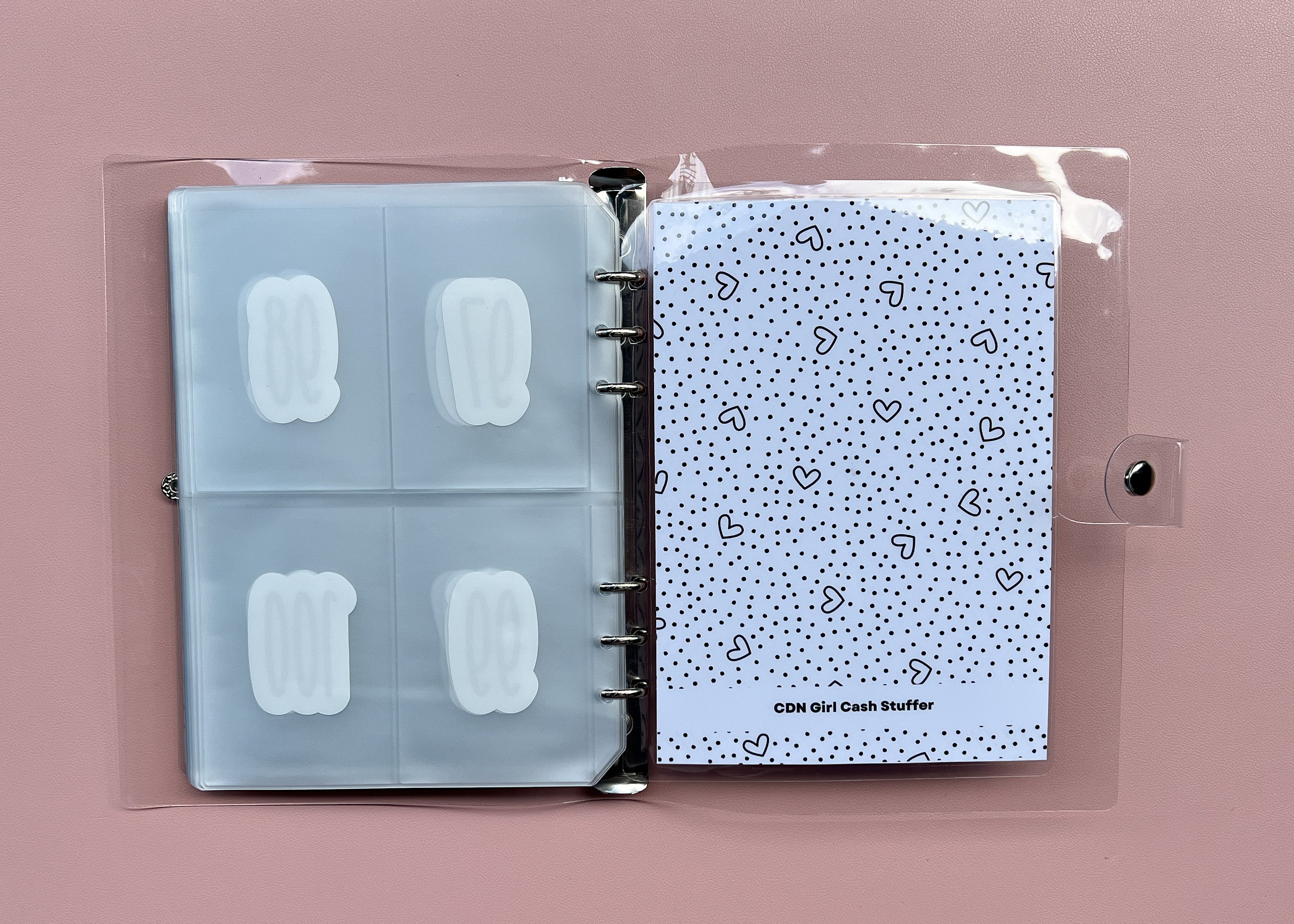 100 Envelope Savings Challenge Binder